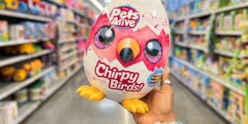 ZURU Pets Alive Chirpy Birds Are Here & Only $14.99 (FUN Valentine’s Day Gift)