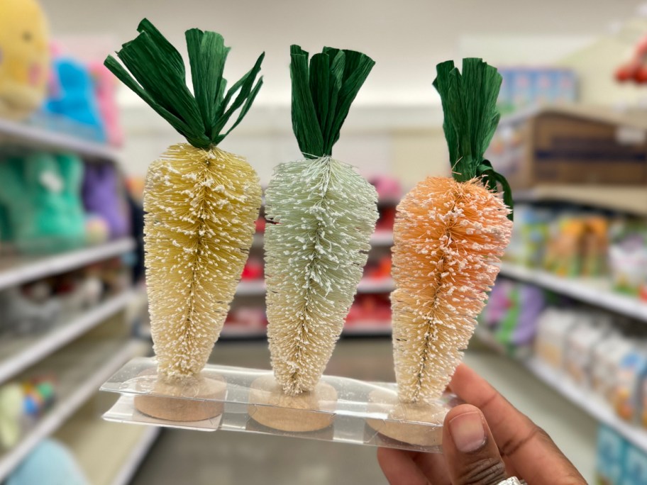 Spritz Bottle Brush Carrots