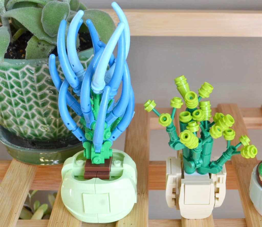 two succulent building block sets on a wood shelf