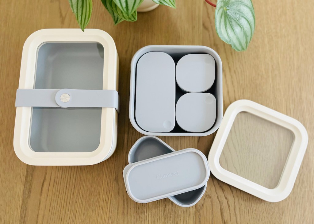 different sized bento box containers on wood table with plant