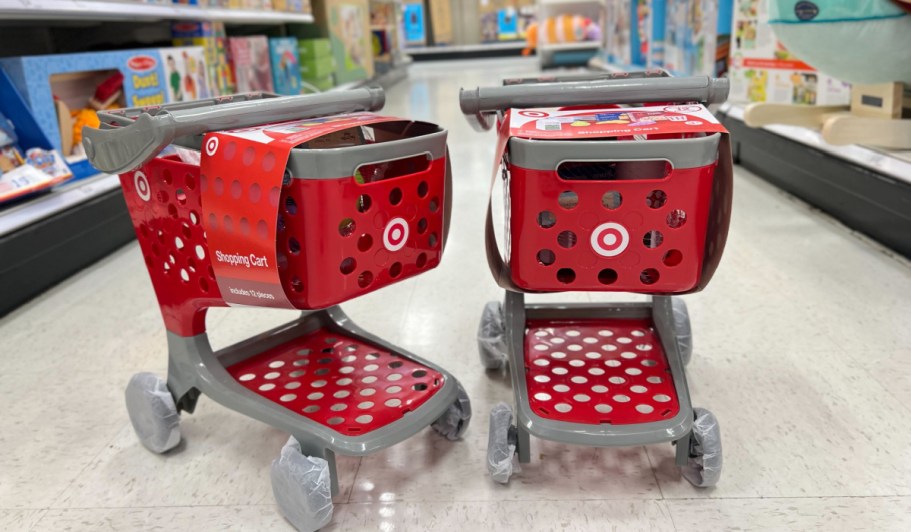 Rare Price Drop: Target Toy Shopping Cart w/ Accessories Just $15.99