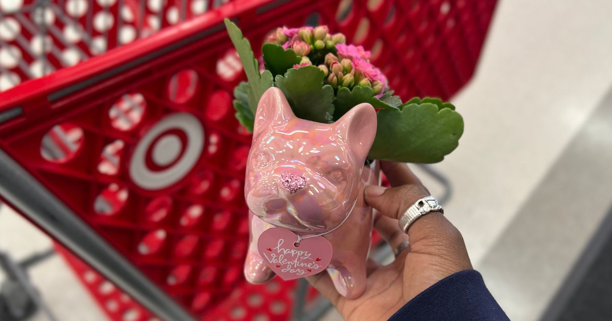 They’re Back! Target’s Valentine’s Frenchie Planters with Flowers Only $10