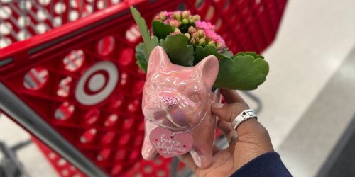 They’re Back! Target’s Valentine’s Frenchie Planters with Flowers Only $10