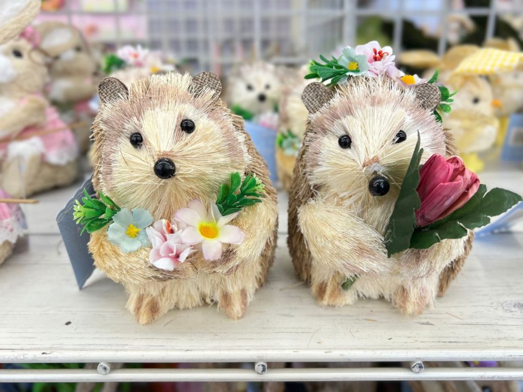 Ashland Hedgehogs