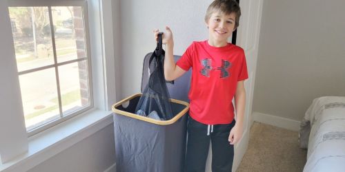 Collapsible Laundry Basket w/ Lid & Removable Bag from $19.99 Shipped on Amazon