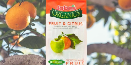 Jobe’s Organics Fruit & Citrus Fertilizer 16lb Bag Just $17.48 Shipped on HomeDepot.online | Awesome Reviews