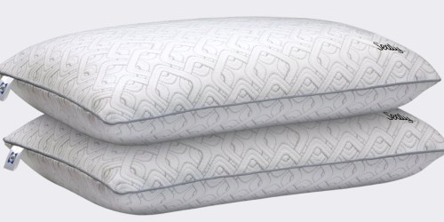 Sealy Memory Foam Pillows 2-Pack only $34.99 on Walmart.online (Regularly $60)