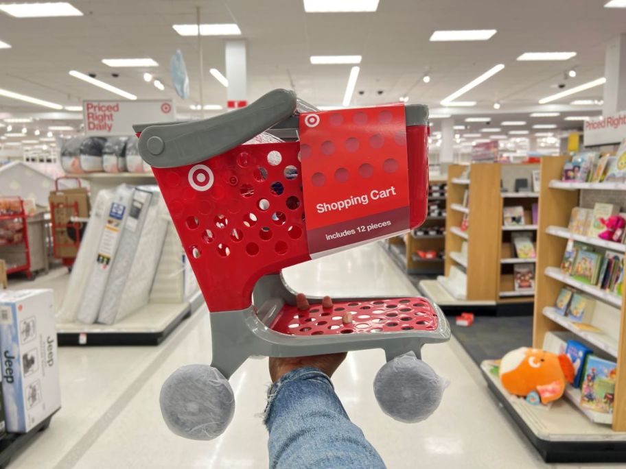 Hand holding a toy shopping cart