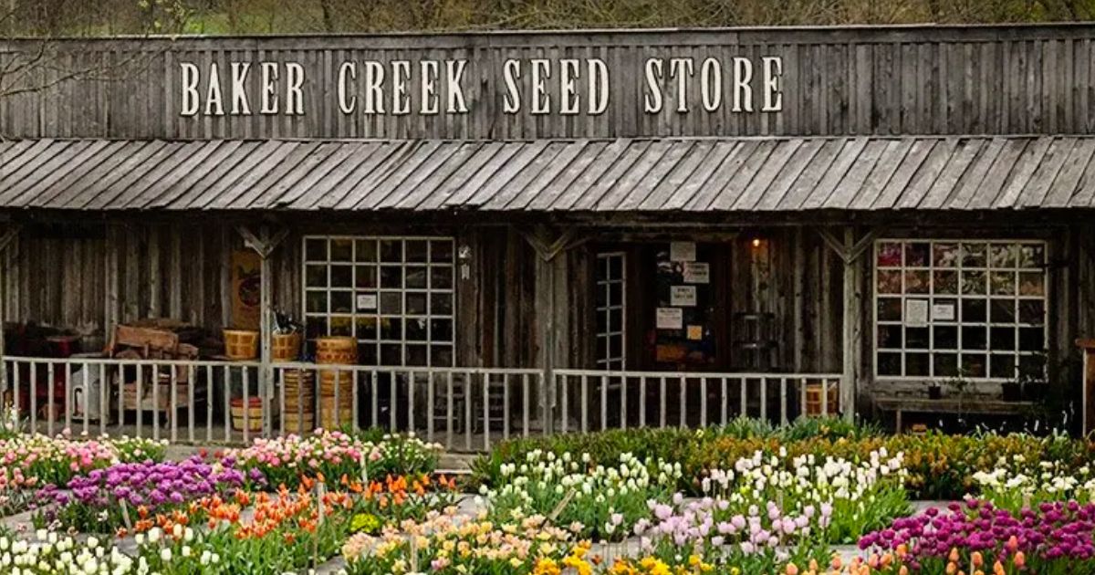 baker creek heirloom seed onlinepany store