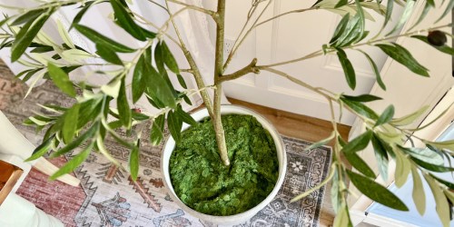 Faux 6′ Olive Tree Just $37.99 Shipped on Walmart.online (Regularly $110)