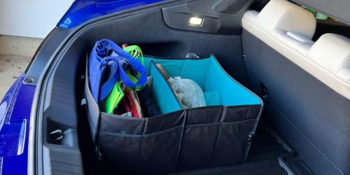 Insignia Collapsible Car Organizer Only $14.99 Shipped on BestBuy.online (Regularly $30)