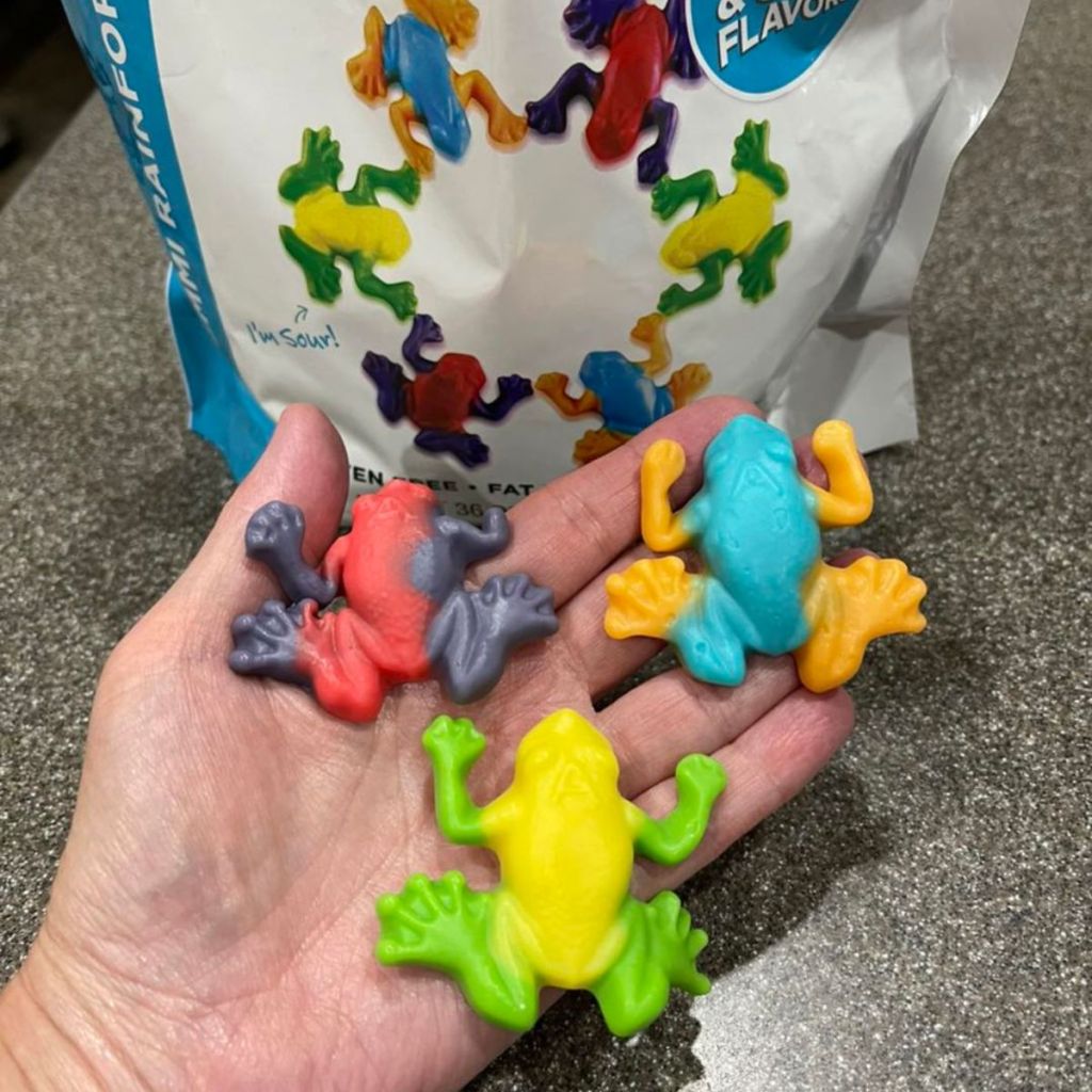 a persons hand holding 3 Albanese gummi rainforest frogs