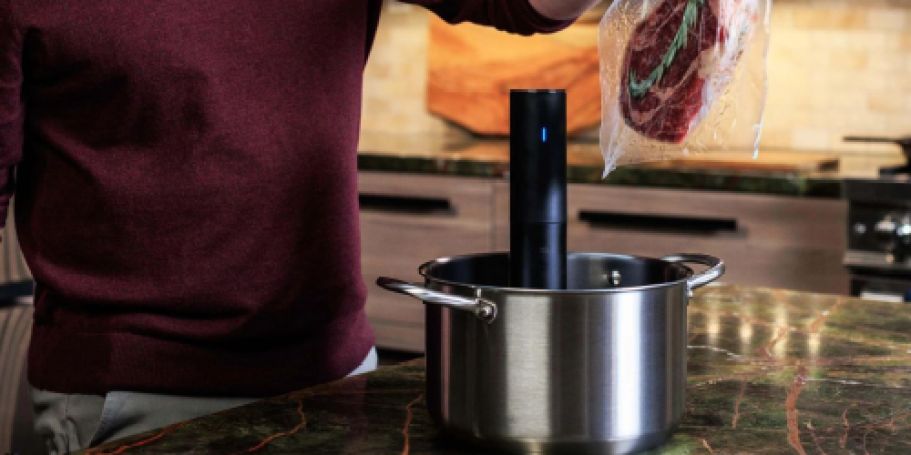 Anova Sous Vide Precision Cooker Only $38 Shipped on Walmart.online (Reg. $95)