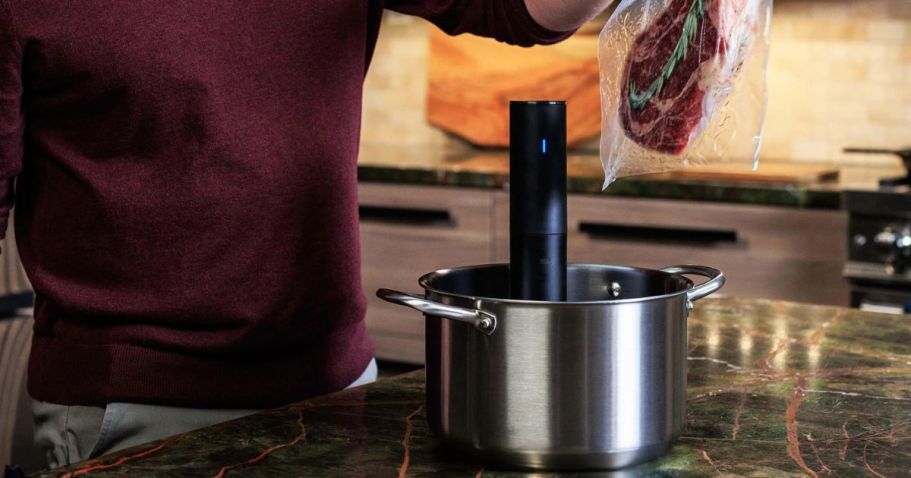 Anova Sous Vide Precision Cooker Only $38 Shipped on Walmart.online (Reg. $95)