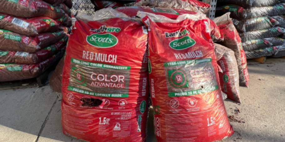 Home Depot Spring Sale | $2 Mulch, $3 Annuals & Tomato Plants, 25¢ Pavers + More!