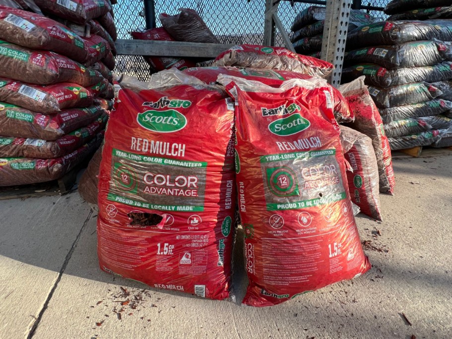Home Depot Spring Sale | $2 Mulch, $3 Annuals & Tomato Plants, 25¢ Pavers + More!