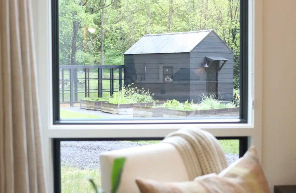 window view of outdoor garden area