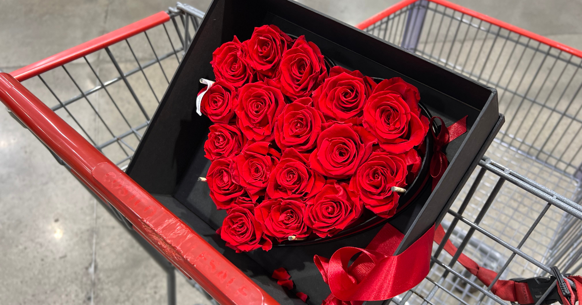 Costco’s Long-Lasting Forever Roses are Back (+ 8 Affordable Alternatives!)