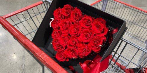 Costco’s Long-Lasting Forever Roses are Back (+ 8 Affordable Alternatives!)