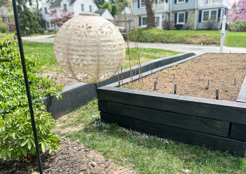 black wood raised garden bed 