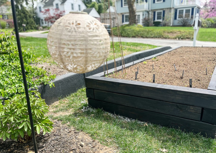 black wood raised garden bed 