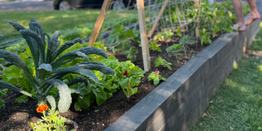 Build Your Own Raised Garden Bed – Here’s How We Did It!