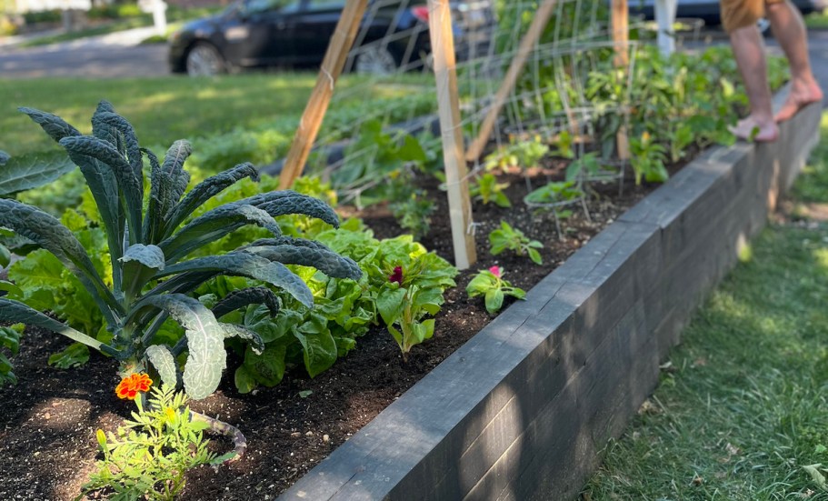 Build Your Own Raised Garden Bed – Here’s How We Did It!