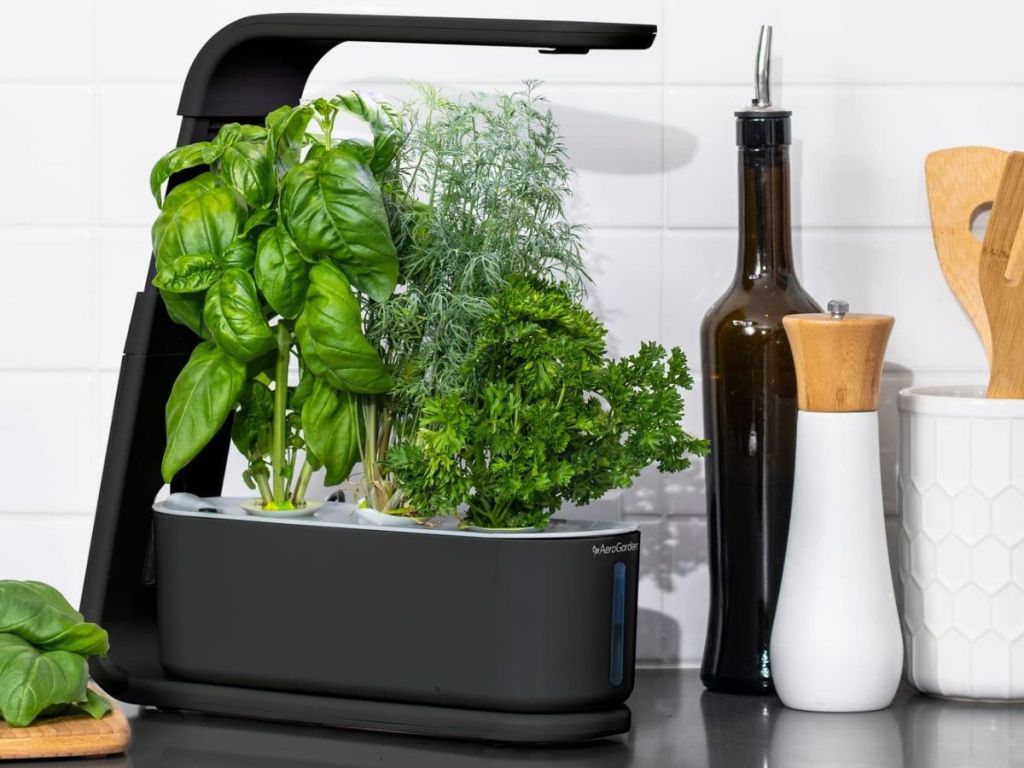 Aerogarden on counter next to oil bottle and kitchen utensils in a crock