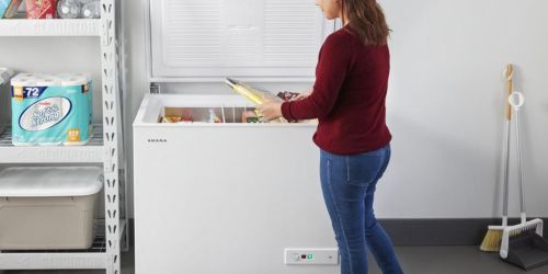 Amana Chest Freezer w/ Temperature Alarm Only $449 on Lowe’s.online (Regularly $749) | Use as Fridge, Too!