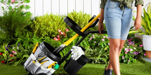 Rolling Garden Tool Caddy Just $59 Shipped on Walmart.online