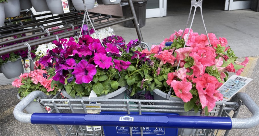 Lowe’s Memorial Day Sale Live Now | Score Hanging Plants, Mulch, Soil, & More