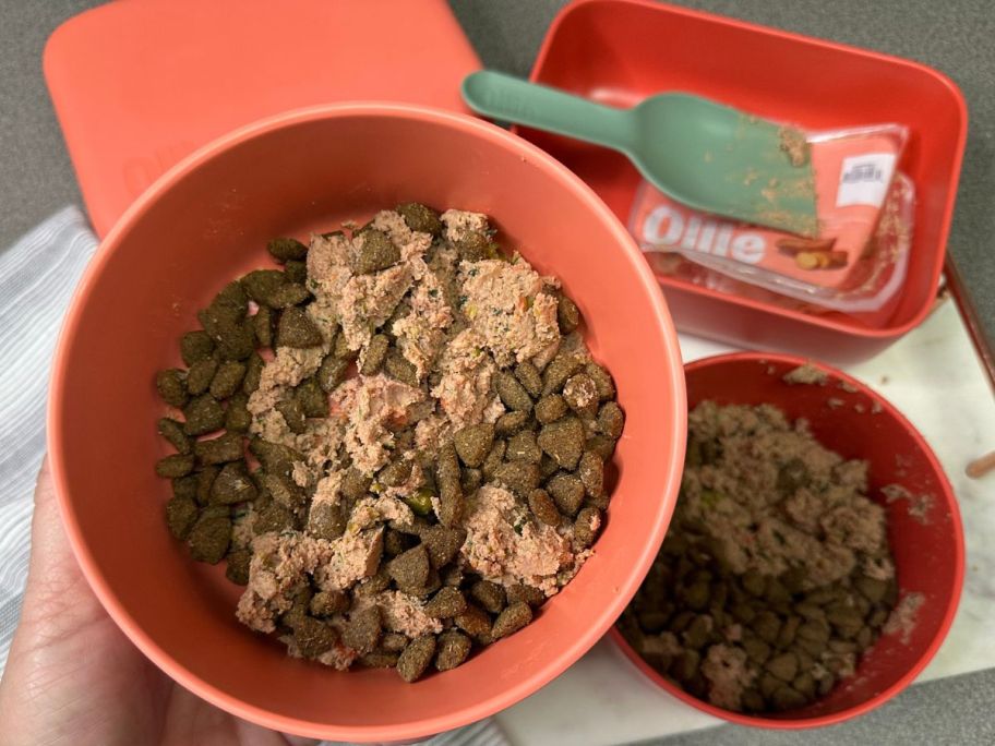 A bowl of Ollie fresh dog food mixed with dry dog food