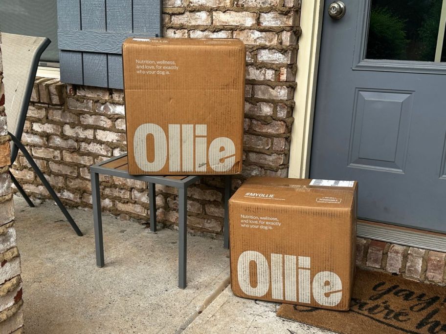 Two cardboard shipping boxes of Ollie dog fo0od on a porch