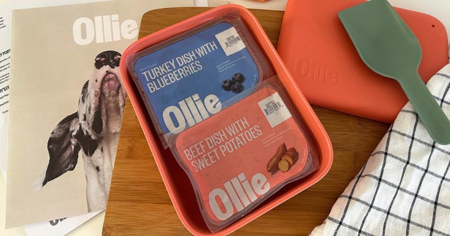 An Ollie Puptainer with two packs of Ollie Fresh Dog Food in it and a scoop next to it on the lid