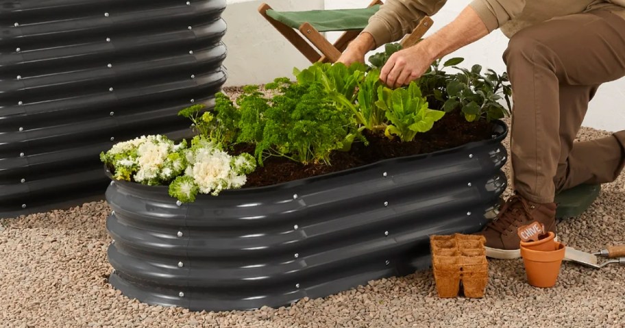 man kneeling next to an oval raised garden bed