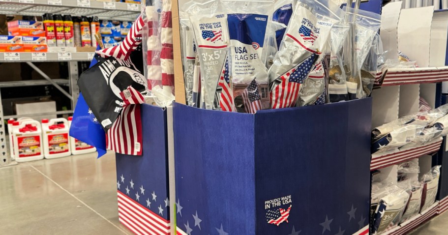 onlineplete American Flag Kit Only $9.98 at Lowe’s or The Home Depot