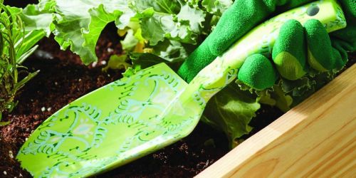 Gardening Tool 25-Piece Set Just $10 on Walmart.online (Regularly $35)