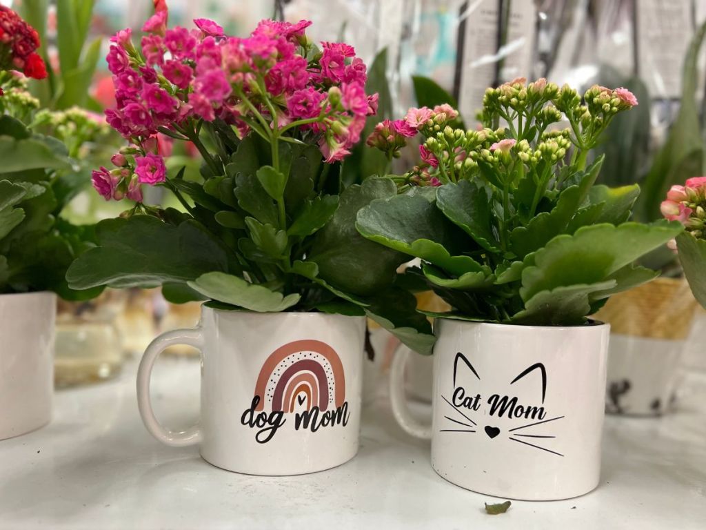 dog mom and cat mom mugs filled with flowers