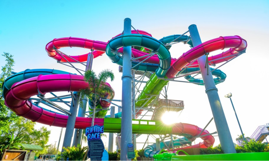 Waterslides at Aquatica Orlando park