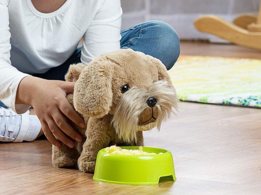 Girl holding a toy dog