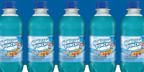 Hawaiian Punch Bottles 24-Pack Only $8.28 Shipped on Amazon