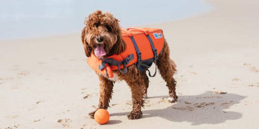 Outward Hound Dog Life Jackets from $8.84 on Amazon (Regularly $16)