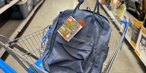 Ozark Trail Hiking Backpacks Just $10.88 at Walmart