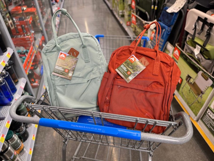 Ozark Trail Hiking Backpacks Just $10.88 at Walmart