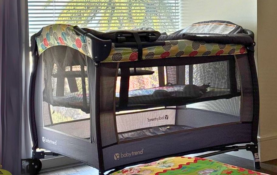 a baby trend playard set up in a room next to a window