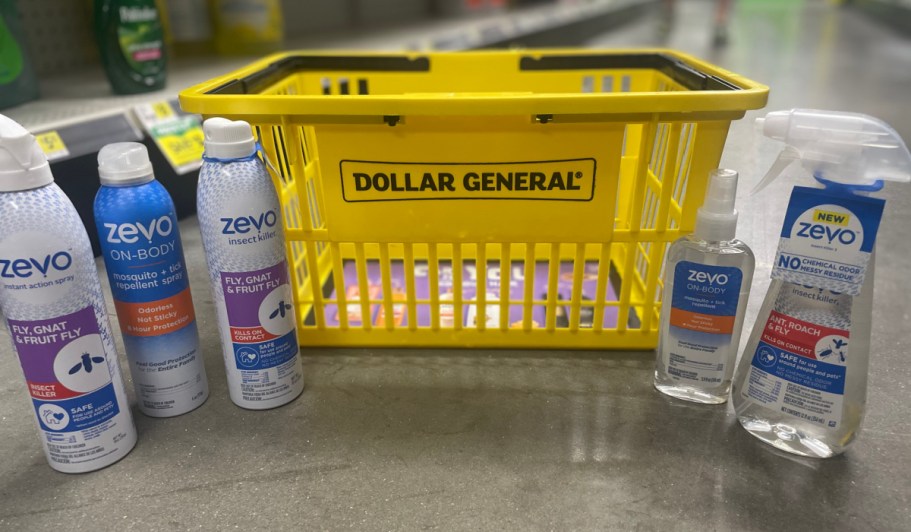 Dollar General Is Closing 141 Stores by January 2026