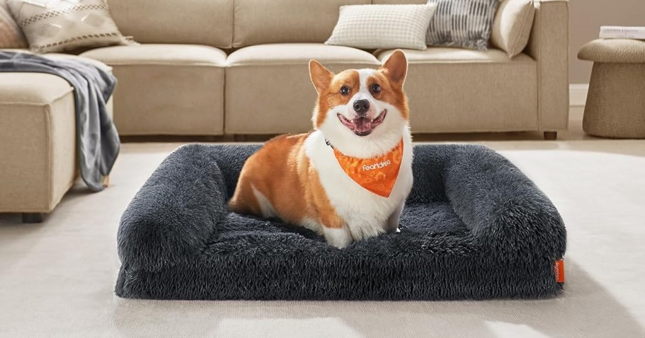 Orthopedic Dog Bed Only $19.99 on Amazon (Reg. $35)