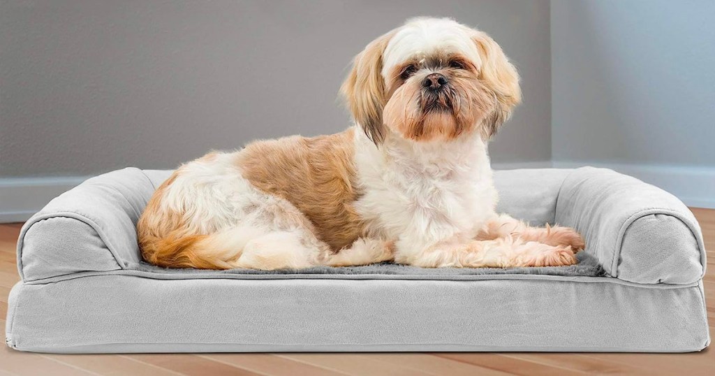 white dog laying on gray dog bed