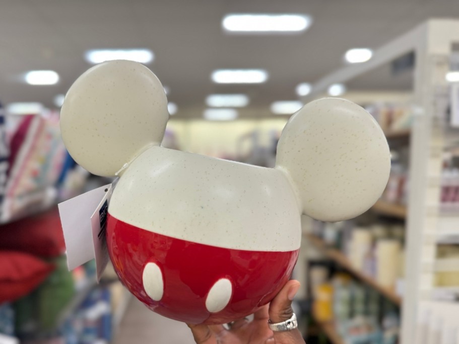 Kohl’s Planters from $5.99 – Mickey, Stitch, & More