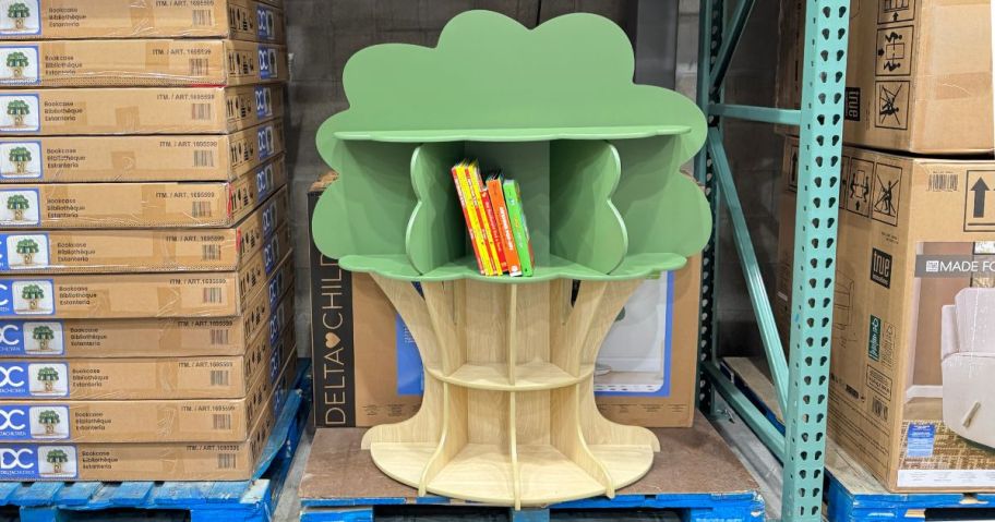 A Delta Tree Bookshelf